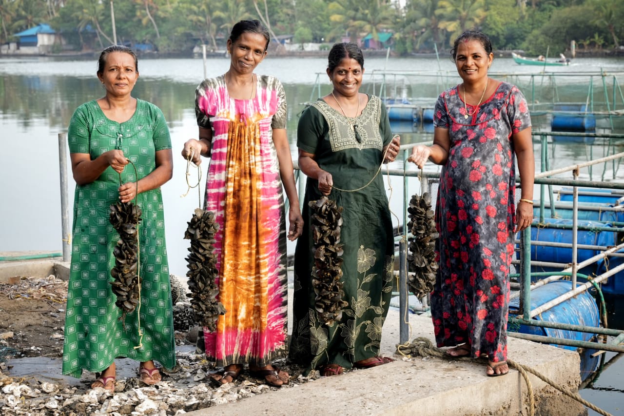 വിളവെടുത്ത കല്ലുമ്മക്കായയുമായി മൂത്തകുന്നത്തെ വനിതാ കർഷകർ