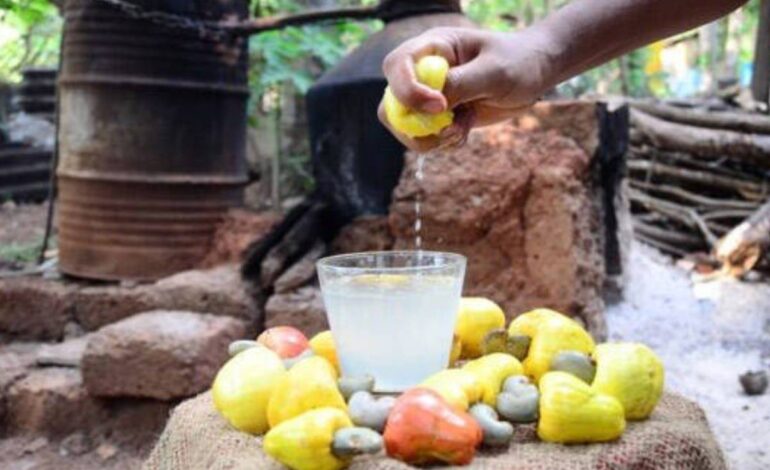 Goan Feni; ഗോവയിൽ മാത്രമല്ല ഇങ്ങ് കേരളത്തിലും ഉണ്ട് ഫെനി, കേരളത്തിൻ്റെ സ്വന്തം കണ്ണൂർ ഫെനി