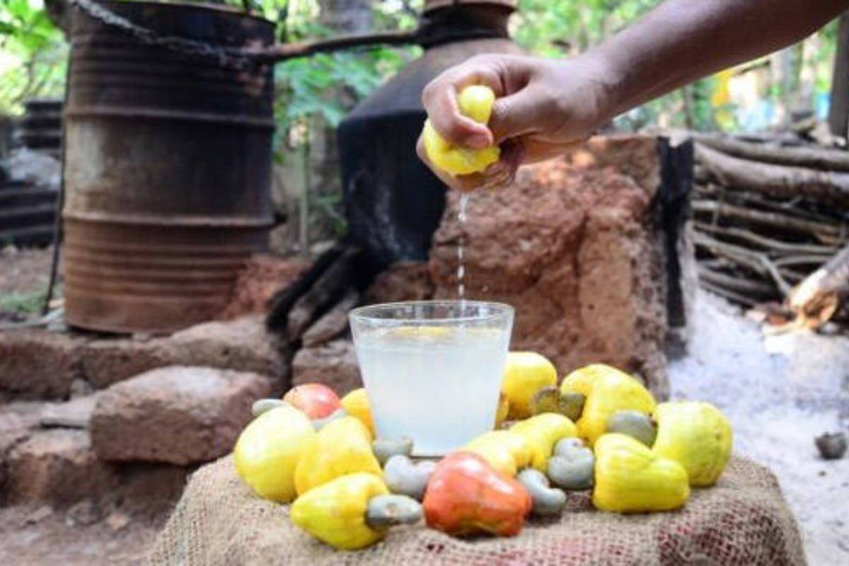 ​Goan Feni; ഗോവയിൽ മാത്രമല്ല ഇങ്ങ് കേരളത്തിലും ഉണ്ട് ഫെനി, കേരളത്തിൻ്റെ സ്വന്തം കണ്ണൂർ ഫെനി